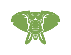 Illes Formigues - Infantil