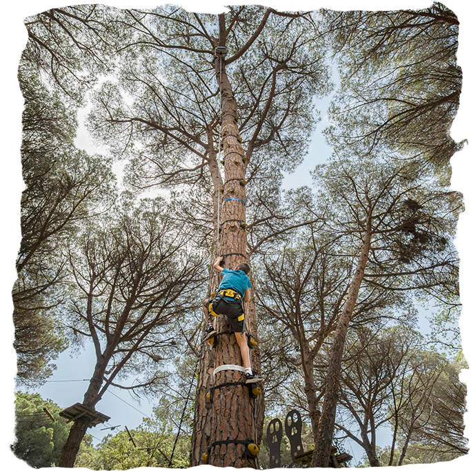 Noi escalant l'arbre del parc Mamut