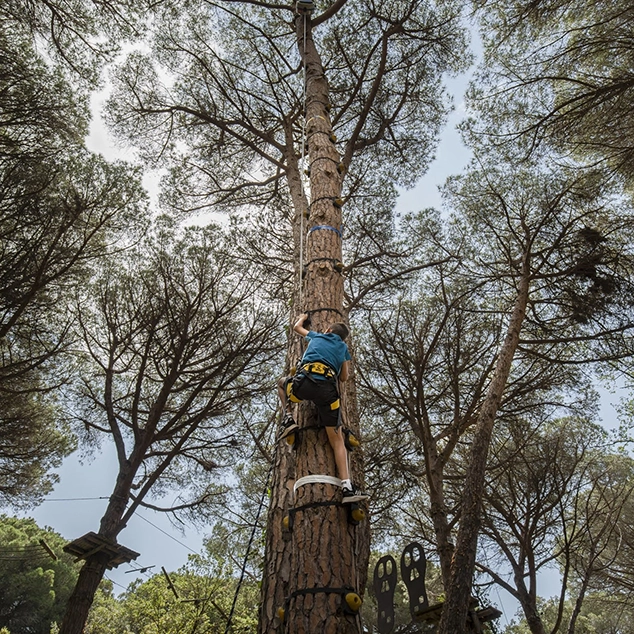 Nen escalant l'arbre a Costa Brava Parc Aventura