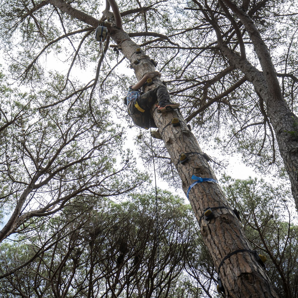 Noi escalant l'arbre al parc Mamut