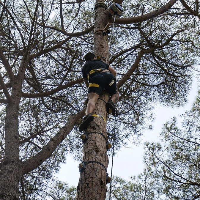 Noi fent l'escalada a l'arbre del parc Mamut